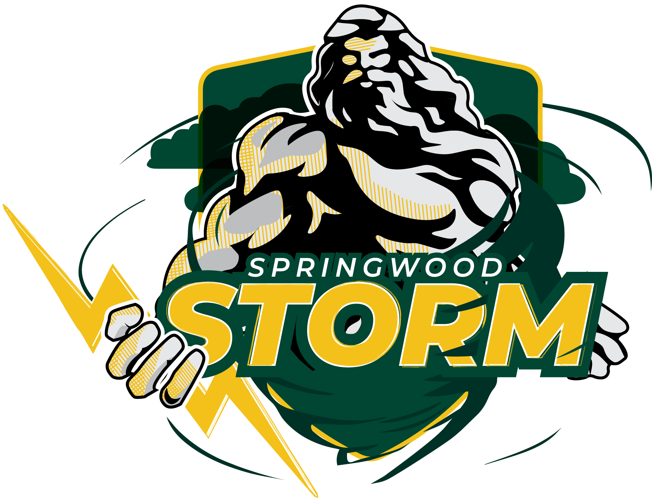storm-mascot-logo-full-color-rgb.png
